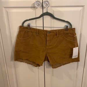 NWT carve design shorts